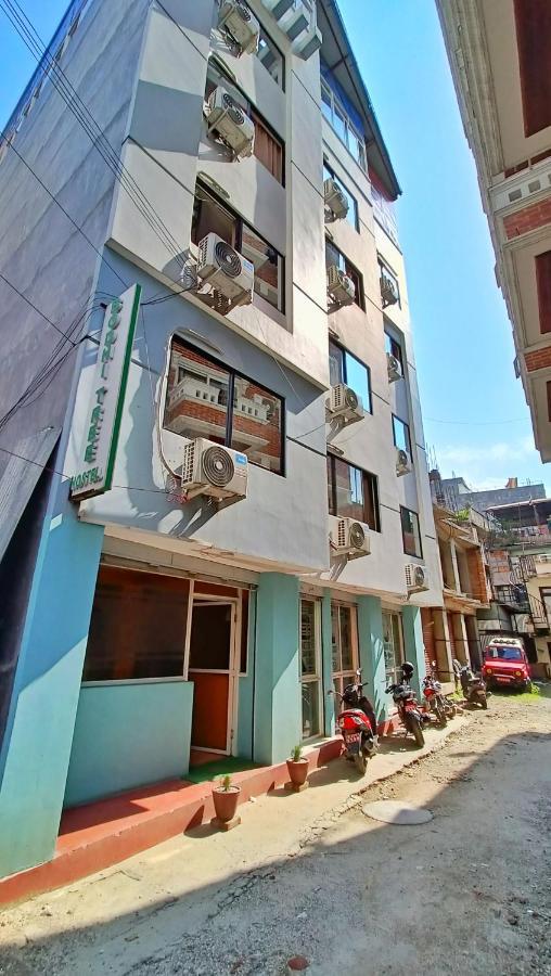Bodhi Tree Hostel Катманду Екстер'єр фото